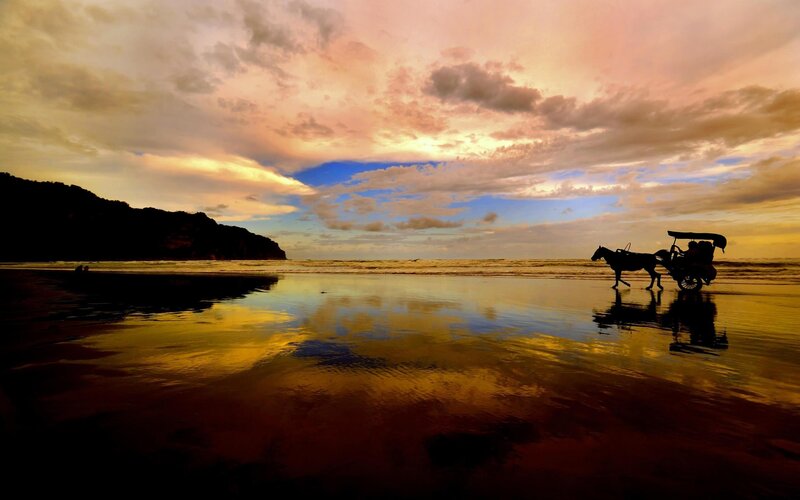 Horse-drawn carriage on beach at sunset