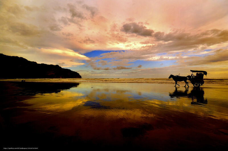 Horse-drawn carriage on beach at sunset