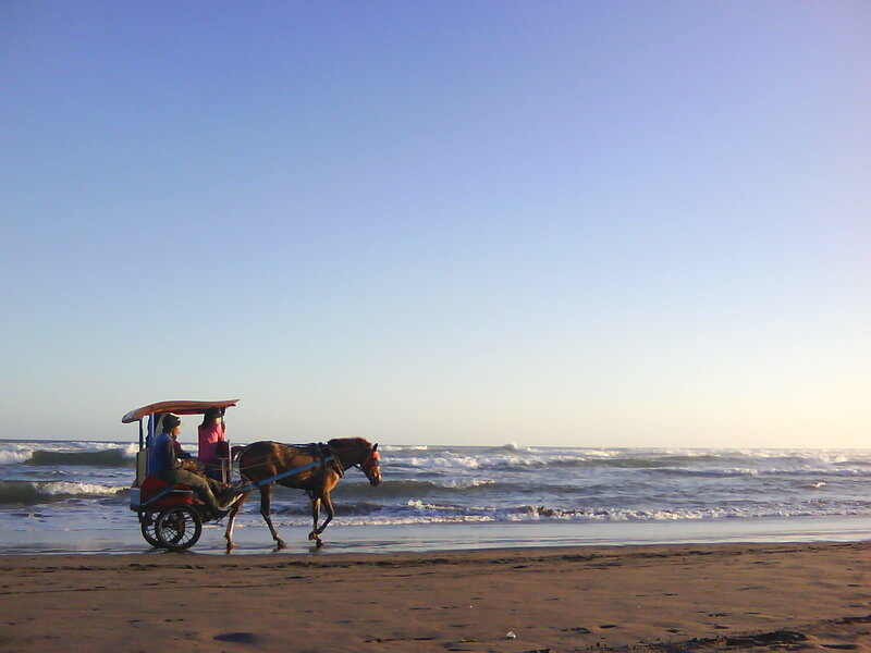Horse-drawn Carriage on Beach — Blue