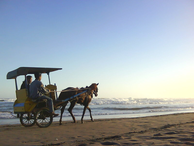 Horse-drawn Carriage on Beach