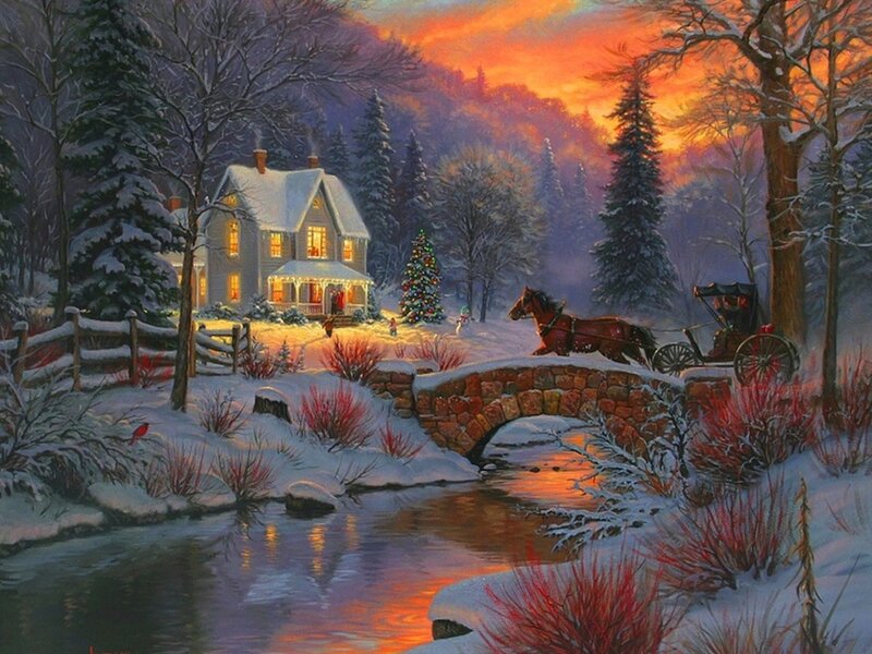Horse-drawn Carriage — Orange, Peaceful