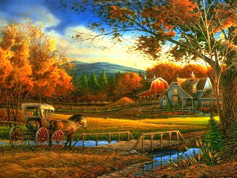Horse-drawn Carriage — Orange, Serene