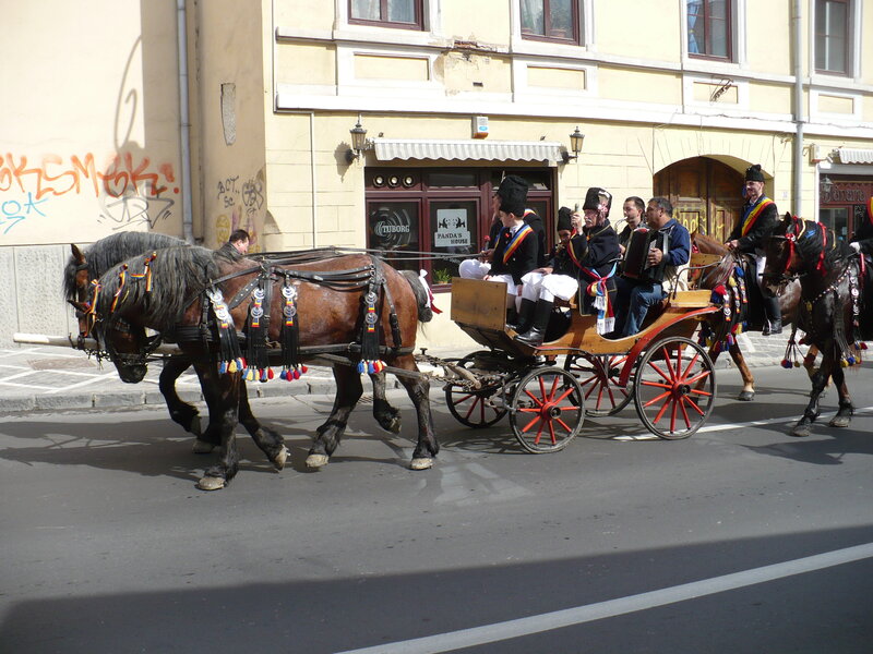Horse-drawn Carriage Parade