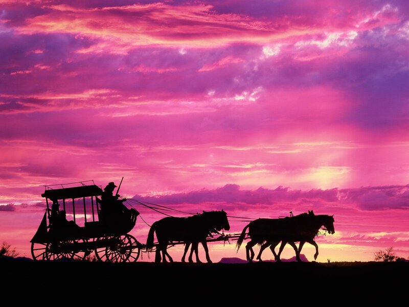 Horse-drawn Carriage — Pink, Dramatic, Sunset, Photograph