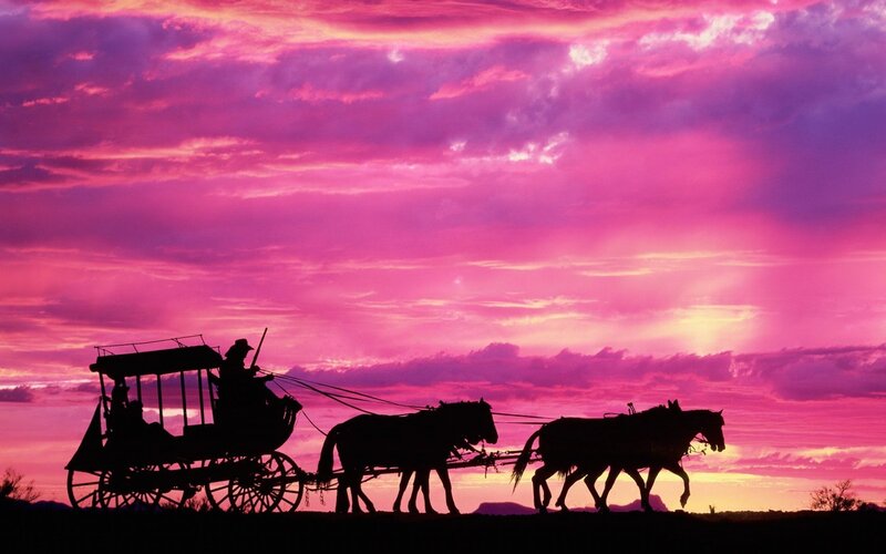 Horse-drawn Carriage — Pink