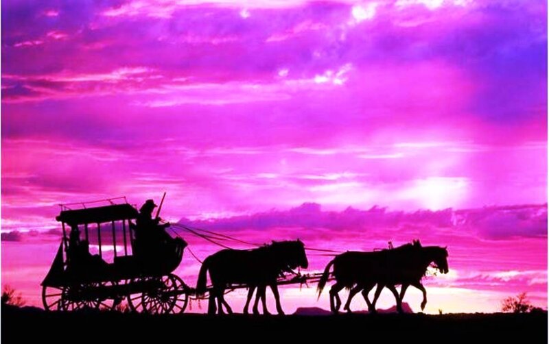 Horse-drawn Carriage — Purple