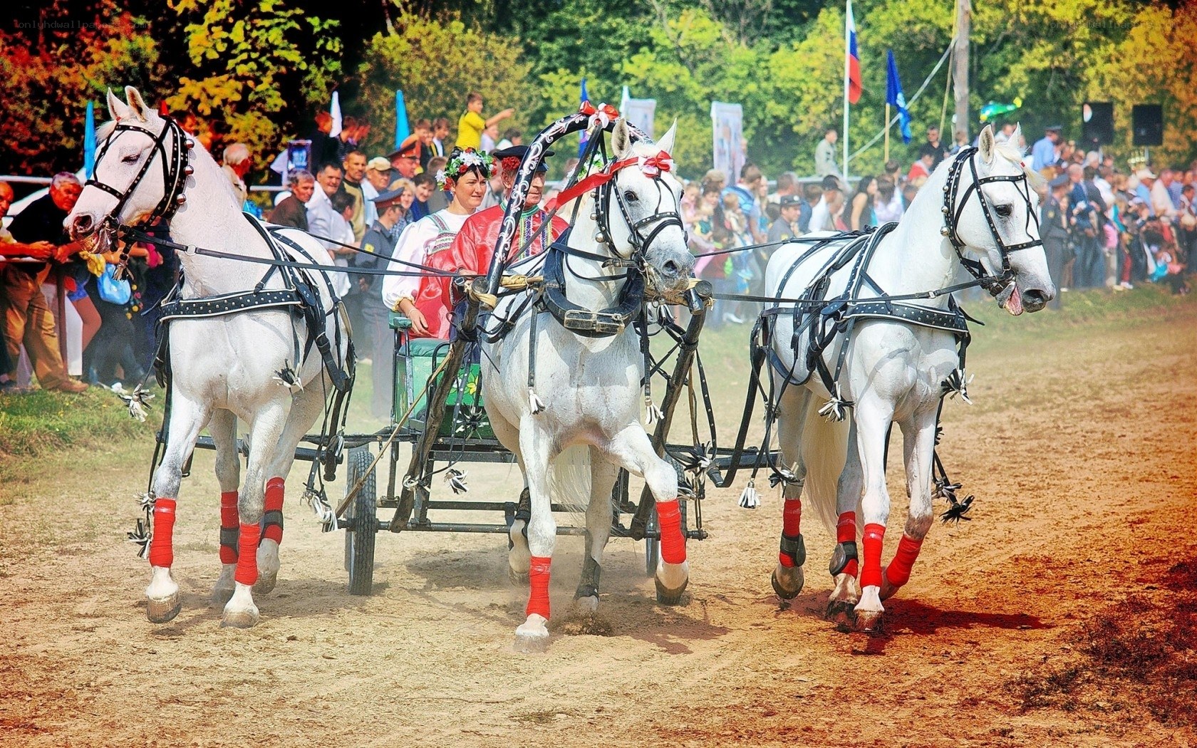 Horse-drawn carriage race