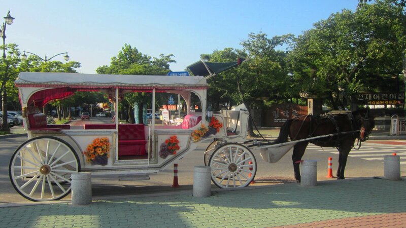 Horse-drawn Carriage — White, Calm, Afternoon