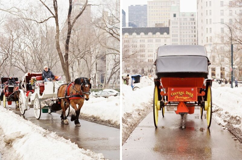 Horse-drawn Carriage — White, Calm