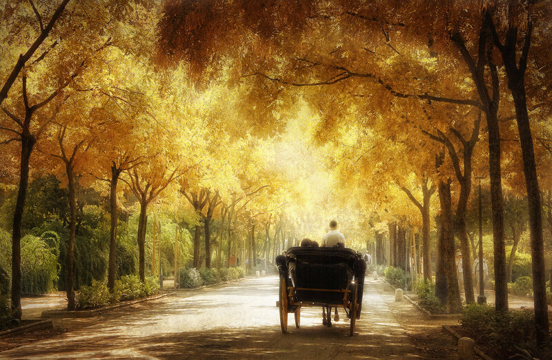 Horse-drawn Carriage — Yellow, Serene, Autumn