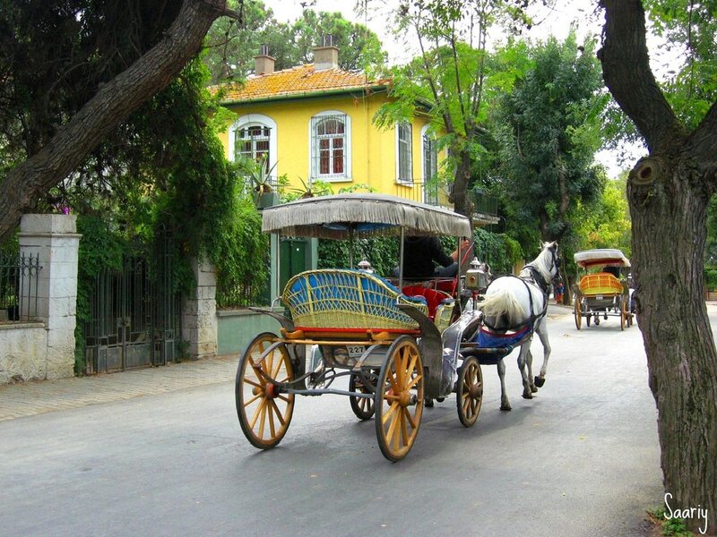Horse-drawn Carriage — Yellow