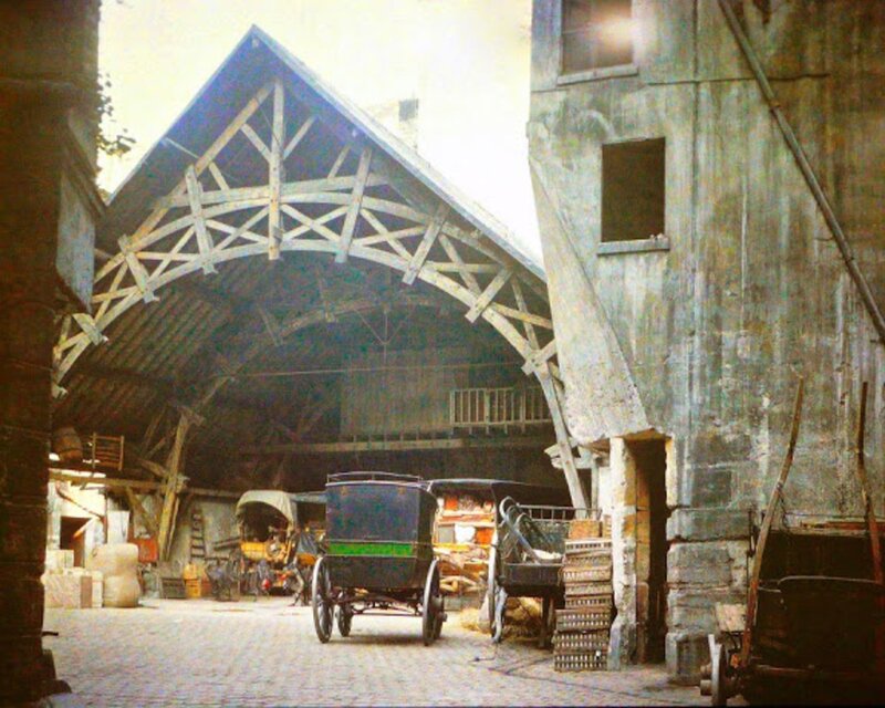 Horse-drawn Carriages — Brown