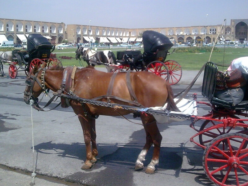 Horse-drawn carriages in a city square