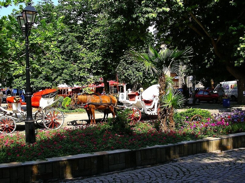 Horse-drawn carriages in a park