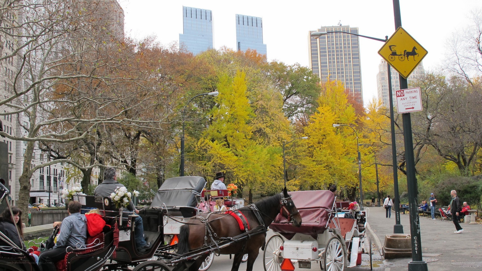 Horse-drawn carriages in Central Park