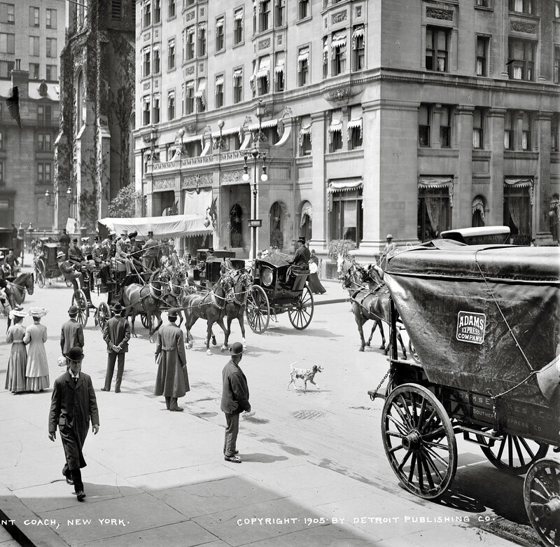 Horse-drawn carriages in New York