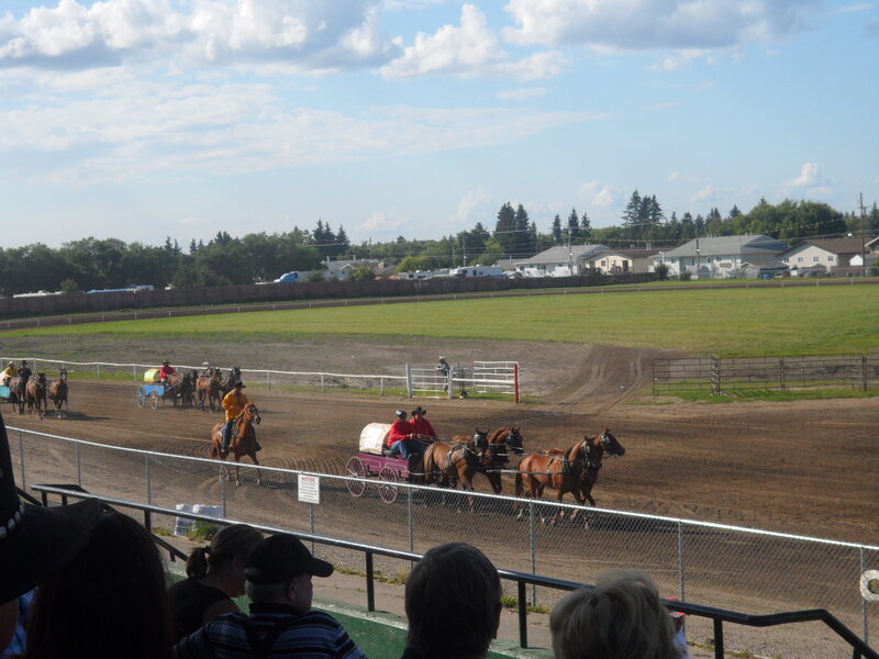 Horse-drawn Carriages Racing