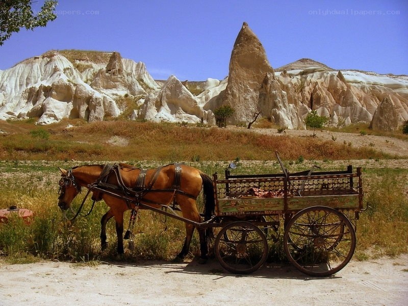 Horse-drawn cart in Cappadocia