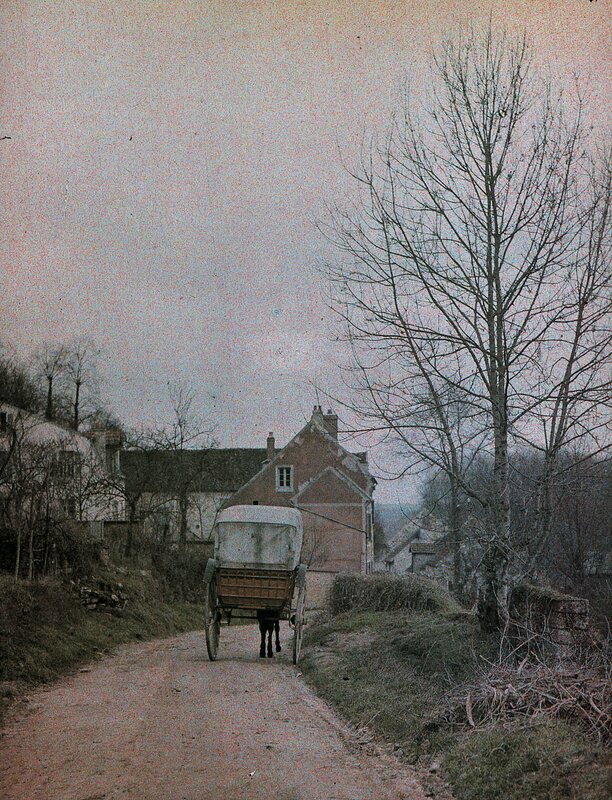 horse-drawn cart on a village road