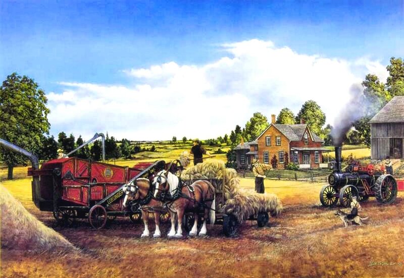 Horse-drawn Hay Wagon