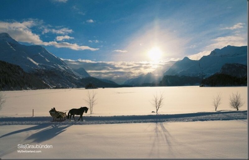Horse-drawn Sleigh — Blue, Serene, Winter