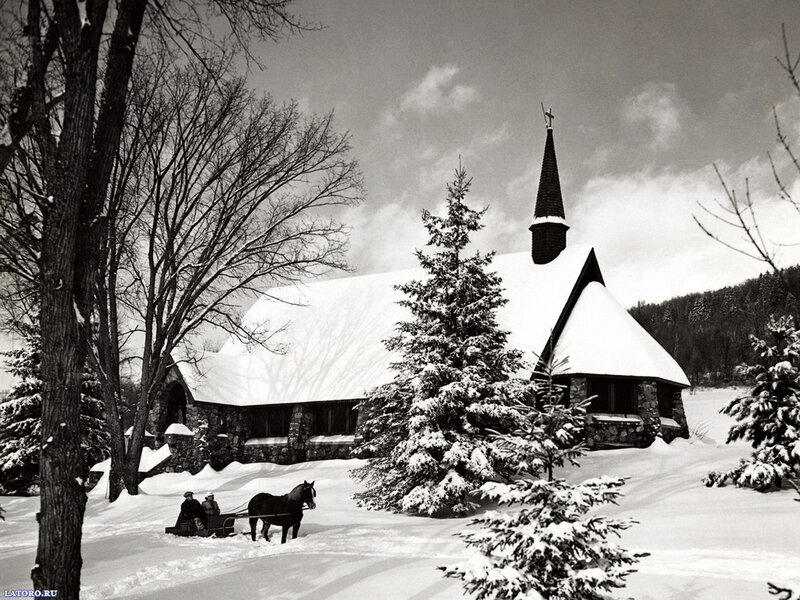 Horse-drawn Sleigh in Snow — Black, Serene