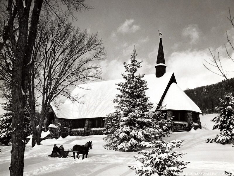 Horse-drawn Sleigh in Snow — Black