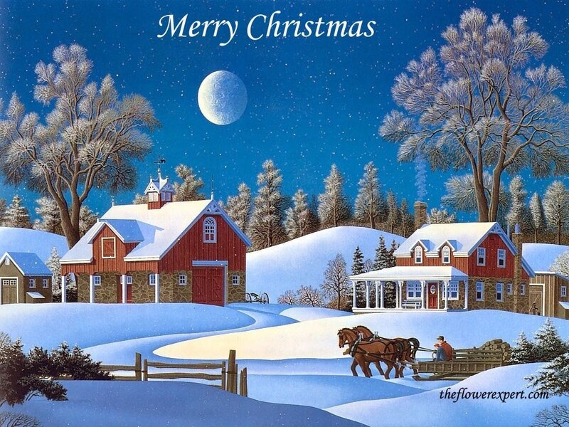 Horse-drawn Sleigh in Snow — Blue, Serene, Night, Illustration