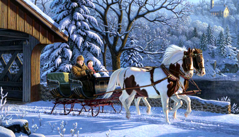 Horse-drawn Sleigh in Snow — White, Serene