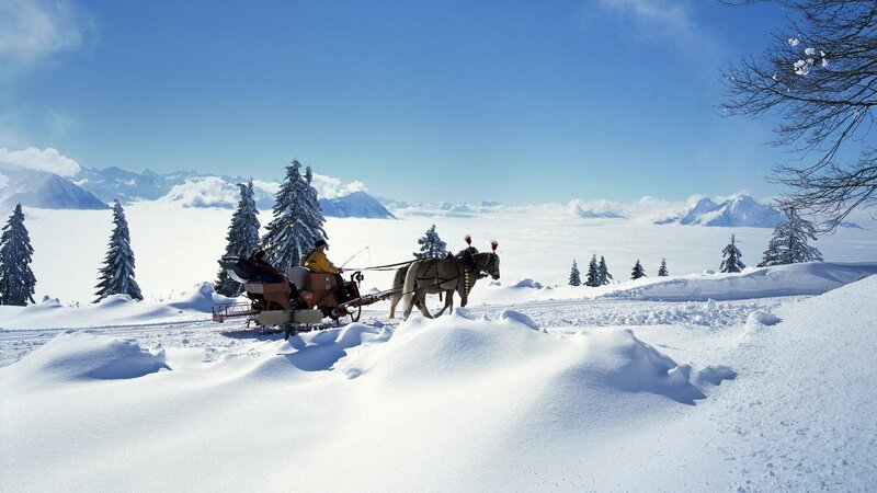 Horse-drawn sleigh in snowy mountains