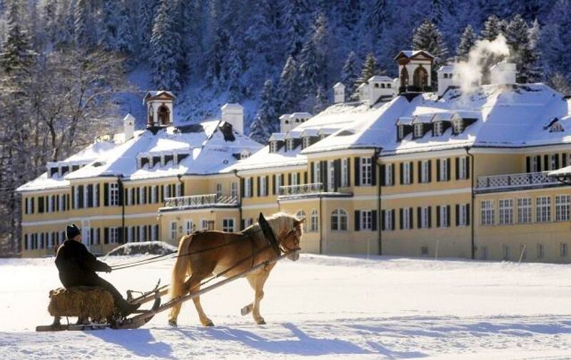 Horse-drawn sleigh in winter
