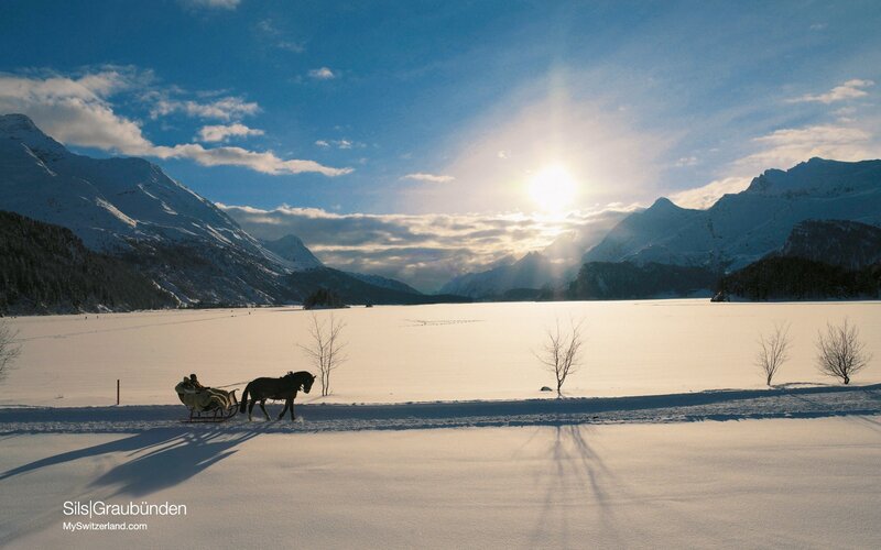 Horse-drawn sleigh on frozen lake