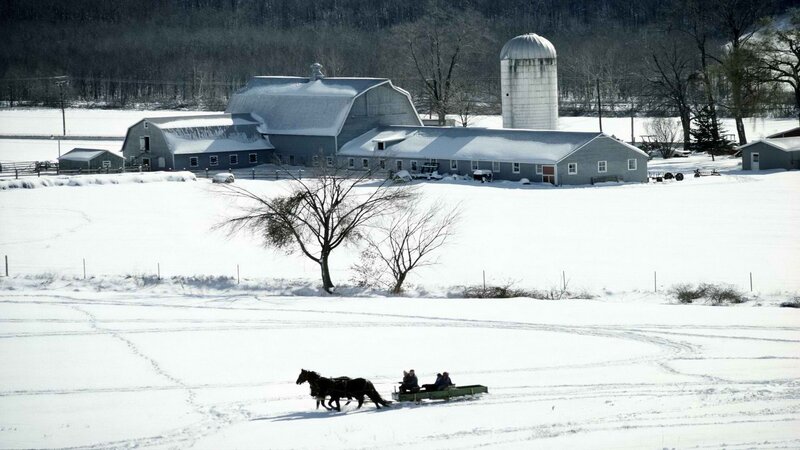 Horse-drawn sleigh on snowy farm