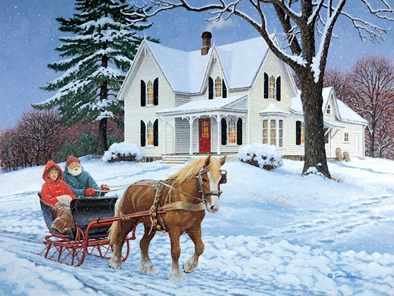 Horse-drawn Sleigh Ride