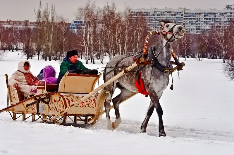 Horse-drawn Sleigh Ride — White