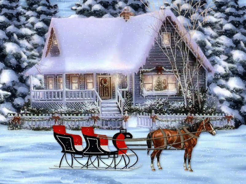 Horse-drawn Sleigh — White, Peaceful, Winter