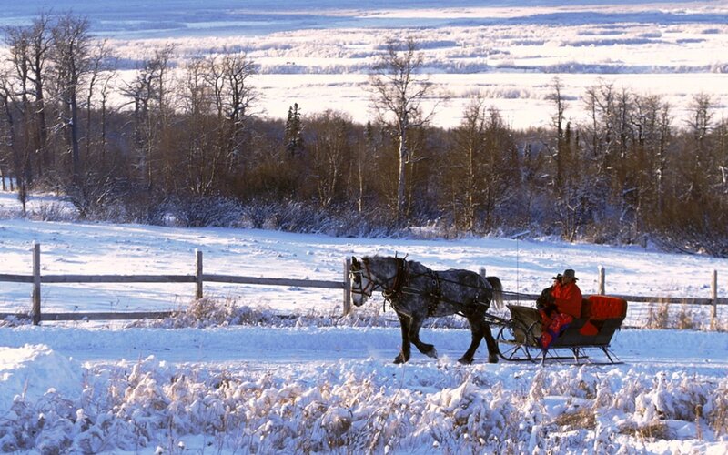 Horse-drawn Sleigh — White, Serene, Winter, Photograph, Horse