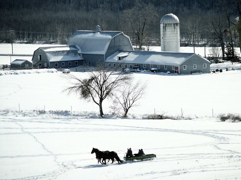 Horse-drawn Sleigh — White, Serene, Winter