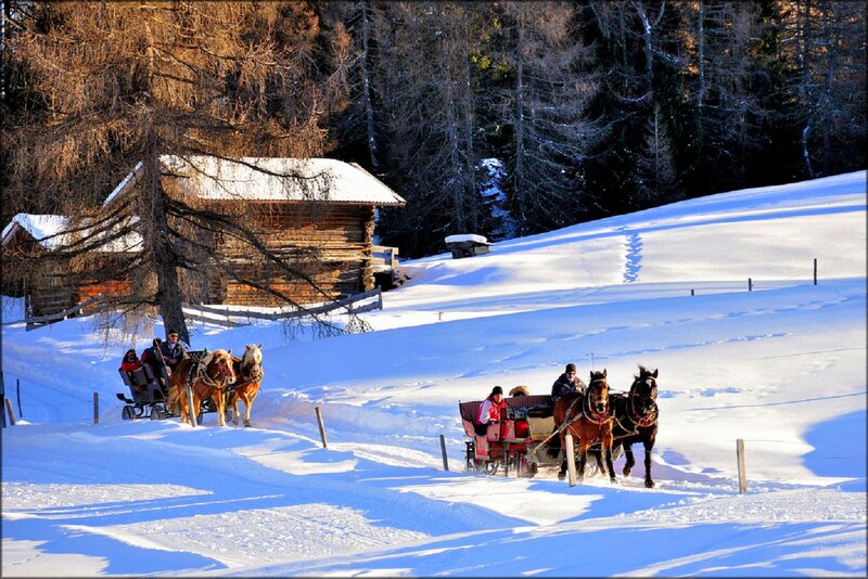 Horse-drawn Sleighs in Snow — White, Serene