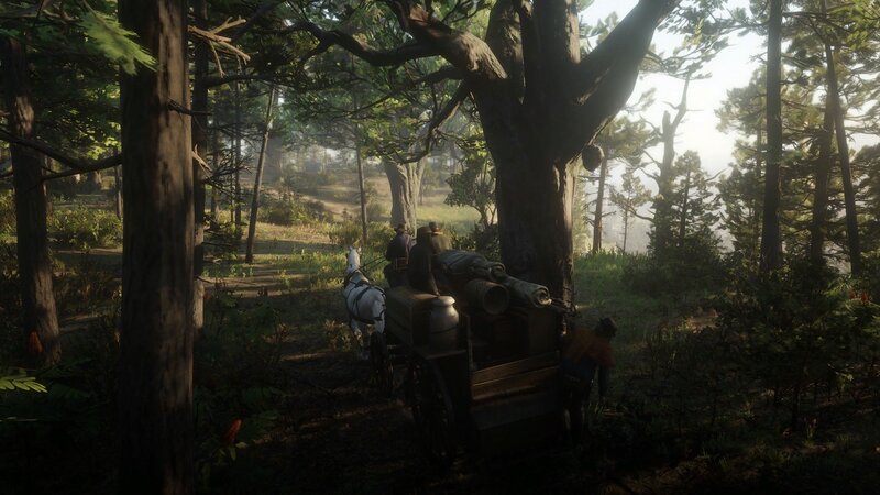 Horse-drawn Wagon in Forest