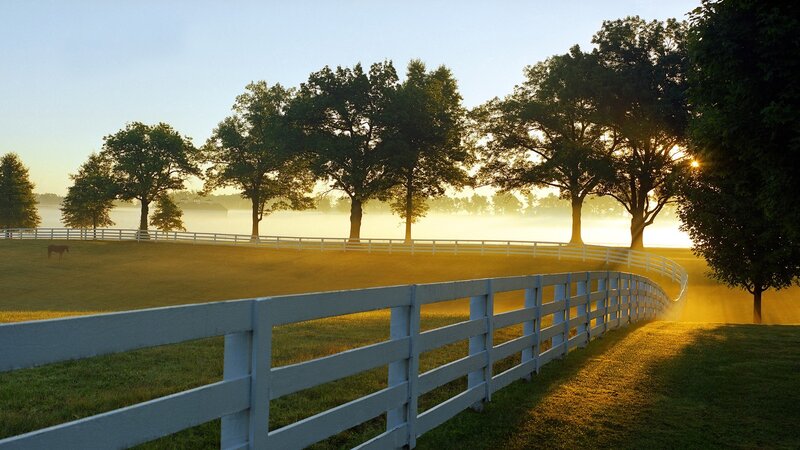 Horse farm at sunrise