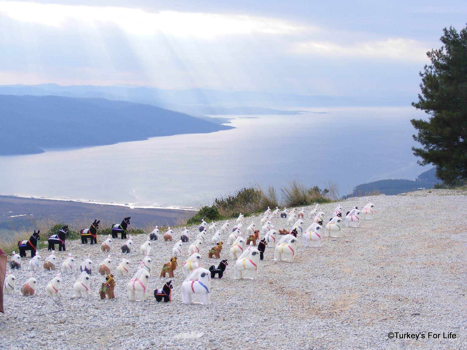 Horse figurines on a hillside