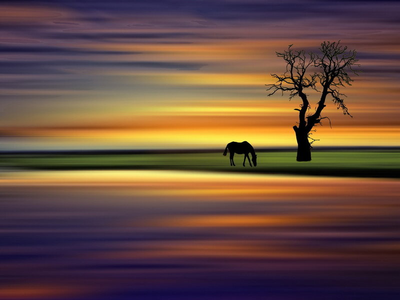 Horse Grazing at Sunset — Orange, Serene