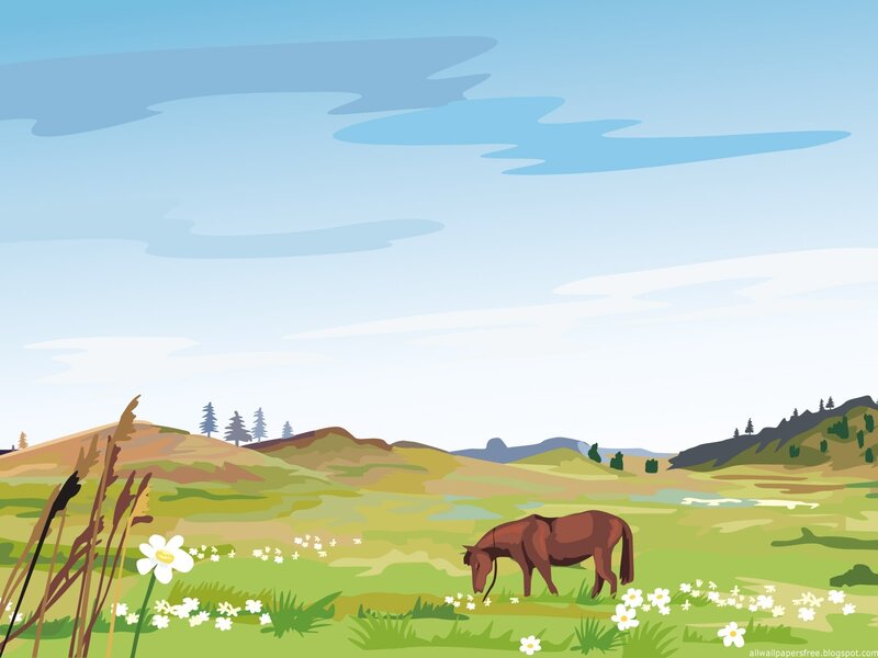 Horse grazing in a meadow
