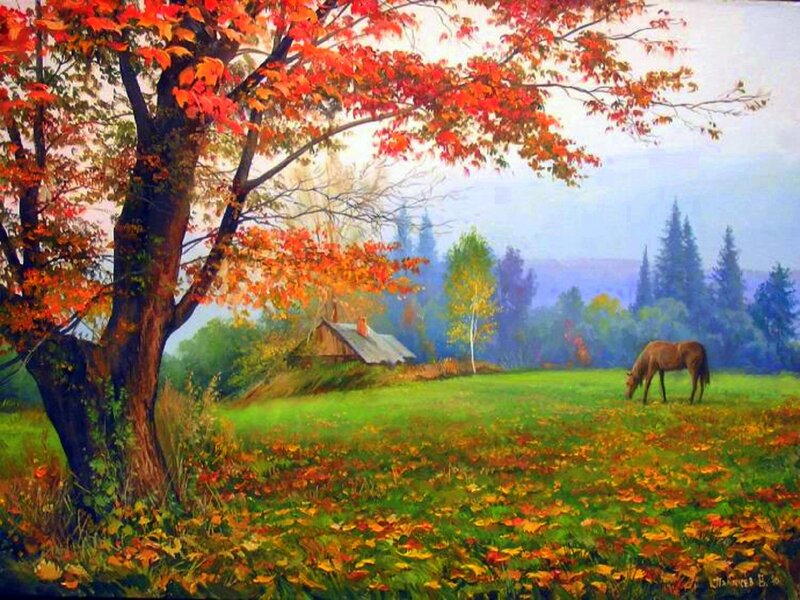Horse Grazing in Field — Red, Serene