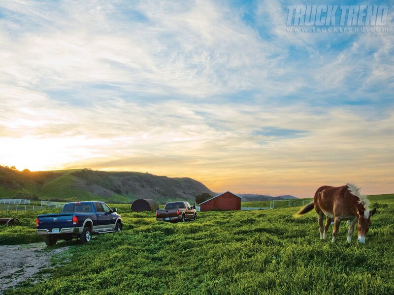 Horse Grazing in Field