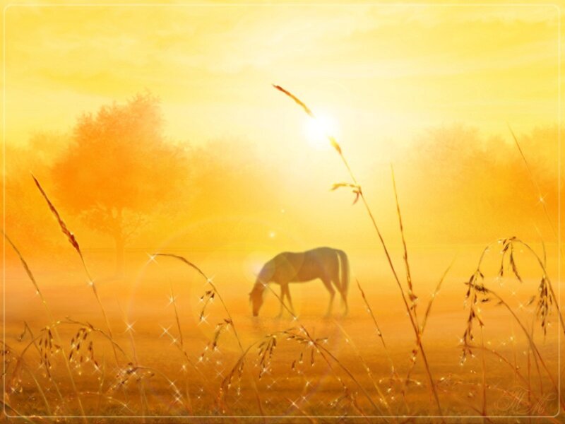 Horse Grazing in Field — Yellow