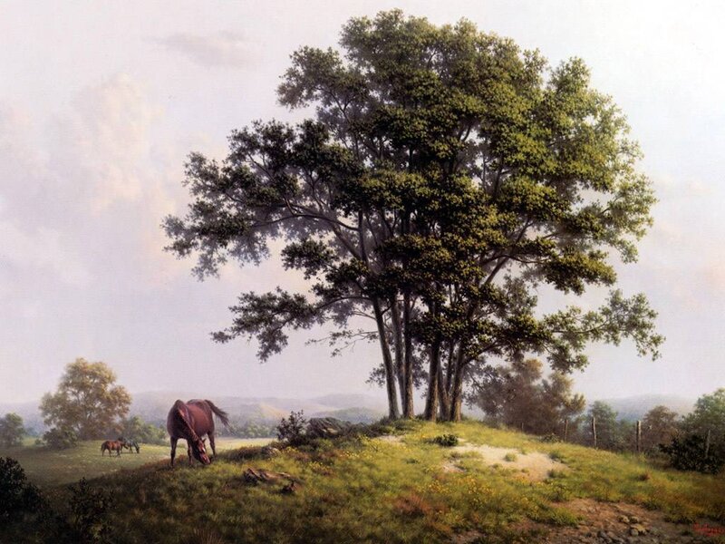 Horse Grazing under Tree