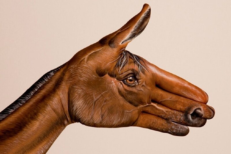 Horse Head from Hand