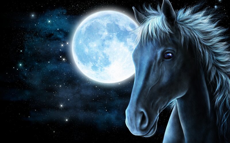 Horse Head in Night Sky